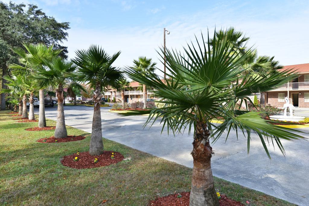 Savannah Inn And Suites Savannah Port Area Amenities foto